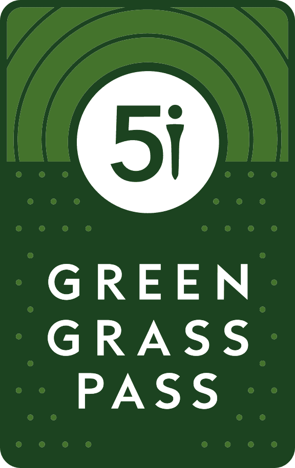 green grass pass